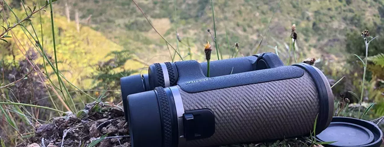 Burris top binoculars review