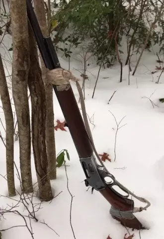 typical bear gun leaning against a tree